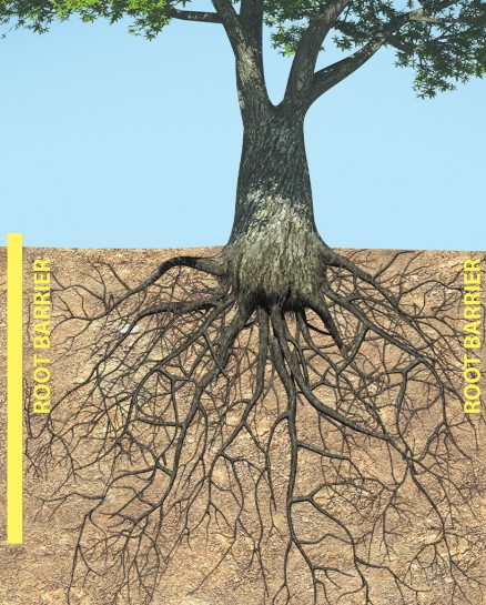 Root Barrier