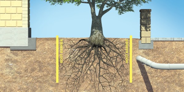 Root Barrier