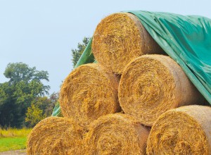 Couvre battots de paille