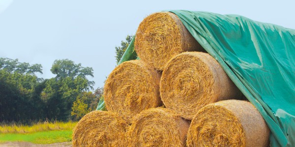 Protección contra cambios de clima