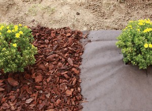 Mulching