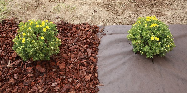 Mulching