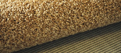 Carpet Backing